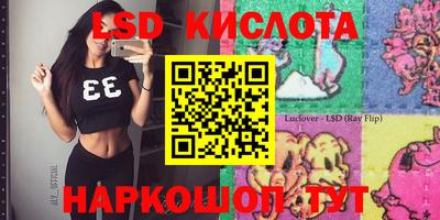 стафф Вышний Волочёк